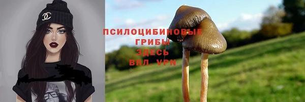 скорость Алзамай