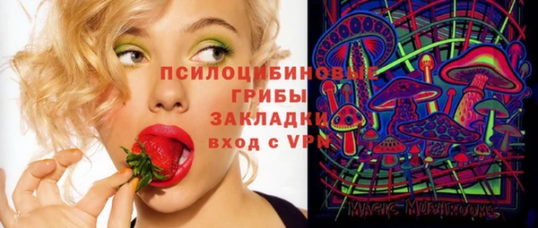 индика Алексеевка