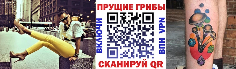 Галлюциногенные грибы Psilocybine cubensis Элиста