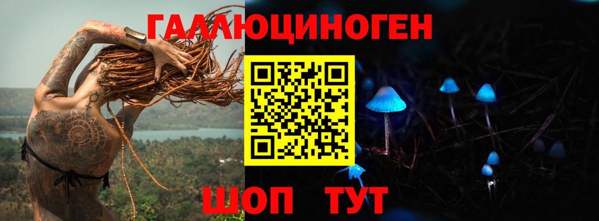 где купить наркотик  Галлюциногенные грибы Cubensis  Вход с VPN  Элиста  Галлюциногенные грибы Psilocybe 